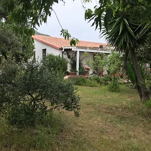 Podere 31 Appartamento